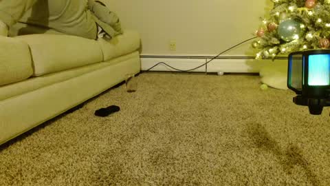 Smexy online show from December 2024 02:24:01 AM