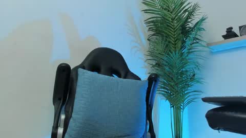 SMIT  online show from December 2024 09:39:02 AM