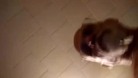 Smithology online show from December 2024 01:18:01 AM