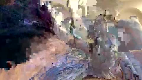Snapshot of smokingdank chatting on December 2024 03:47:02 AM smokingdank online show from December 2024 03:47:02 AM