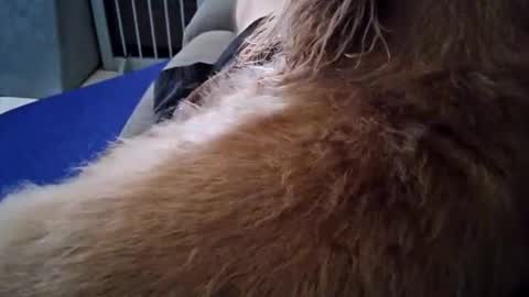 smokynight online show from September 2025 08:57:01 PM