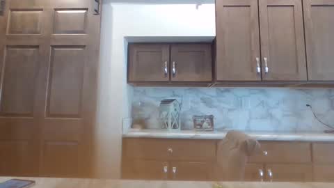 Bambi--Vodka online show from January 2025 07:48:02 PM