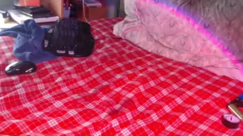 Snail online show from February 2026 02:35:01 PM