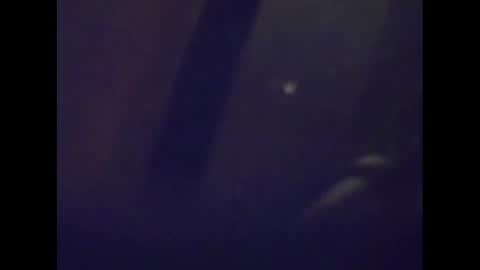 Mark online show from January 2025 05:08:01 AM