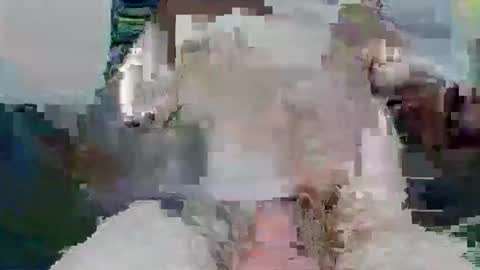 snakey boy online show from November 2025 10:05:01 AM