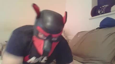 SoftPuppy online show from January 2026 10:33:02 PM