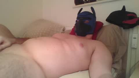 SoftPuppy online show from January 2026 09:09:01 PM