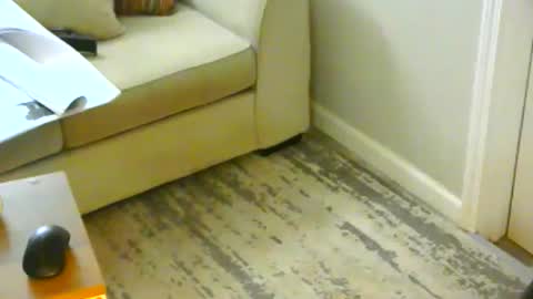 snizniz online show from January 2025 06:23:01 PM