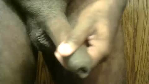 snkr1244 online show from January 2025 10:51:01 AM