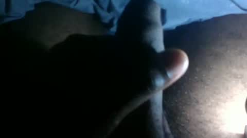 snkr1244 online show from November 2025 04:33:02 AM