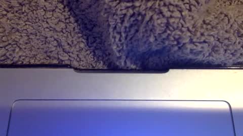 snowpapi79260 online show from January 2025 08:52:01 AM