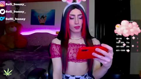 soffi_bunny_ online show from March 2026 06:30:01 AM