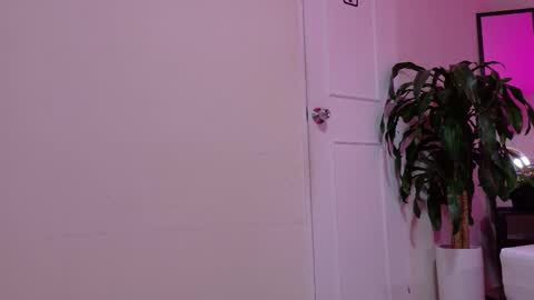 Snapshot of sofia__salazar chatting on February 2026 11:48:01 AM sofia__salazar online show from February 2026 11:48:01 AM