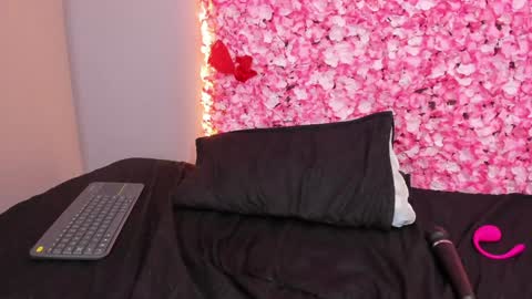 Snapshot of sofia_riveraa chatting on January 2025 11:53:02 PM SOFIA online show from January 2025 11:53:02 PM