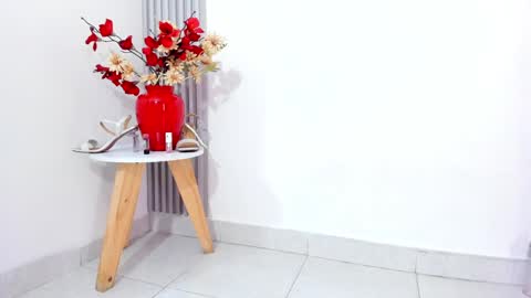 Snapshot of sofia_riveraa chatting on February 2025 11:27:01 PM SOFIA online show from February 2025 11:27:01 PM