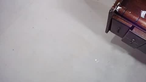 sofiadoll77 online show from December 2024 06:17:02 AM