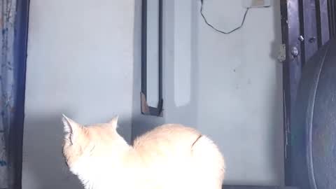 sofiadoll77 online show from March 2025 10:53:01 PM