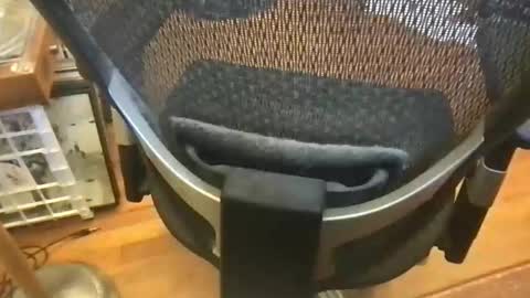 soflastiffyboy69 online show from May 2026 04:58:02 PM