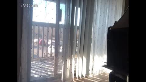 sojihea4u online show from February 2026 03:16:02 PM