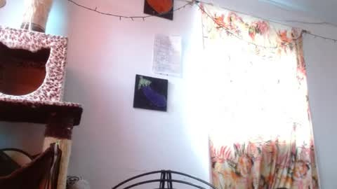 Snapshot of soka_lovers_04_ chatting on January 2026 12:09:02 PM Sofia online show from January 2026 12:09:02 PM