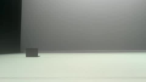 Ol4 online show from June 2026 09:14:01 AM