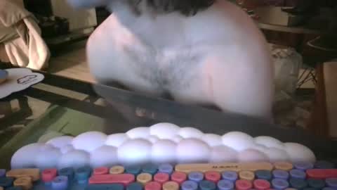 somerandom1109 online show from March 2026 11:48:02 AM