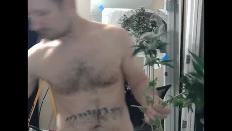 somethingaboutabiee__ online show from April 2026 12:25:02 AM