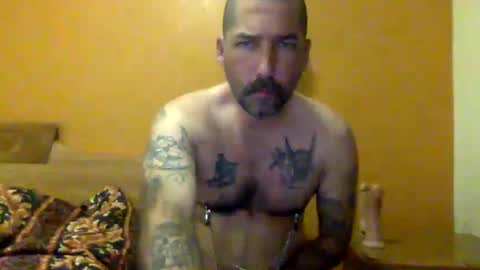 Snapshot of sontoddy chatting on December 2024 11:07:02 AM Ryan online show from December 2024 11:07:02 AM
