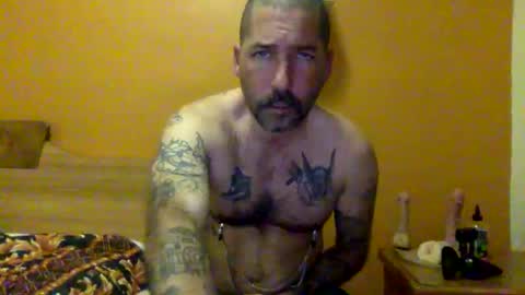 Snapshot of sontoddy chatting on December 2024 01:47:02 AM Ryan online show from December 2024 01:47:02 AM