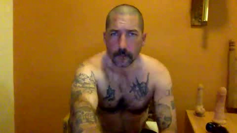 Snapshot of sontoddy chatting on January 2025 02:32:02 AM Ryan online show from January 2025 02:32:02 AM