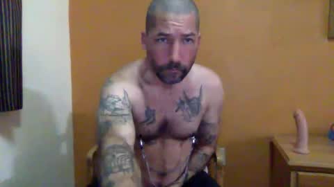 Snapshot of sontoddy chatting on January 2025 12:31:01 PM Ryan online show from January 2025 12:31:01 PM