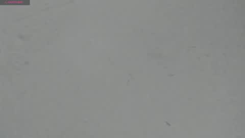 Snapshot of sophia_ebony___ chatting on April 2026 12:09:02 PM sophia_ebony___ online show from April 2026 12:09:02 PM