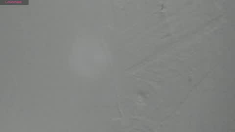 Snapshot of sophia_ebony___ chatting on May 2026 12:11:02 PM sophia_ebony___ online show from May 2026 12:11:02 PM