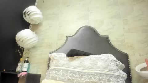 Snapshot of sophia_models chatting on February 2026 08:24:02 PM Sophia online show from February 2026 08:24:02 PM