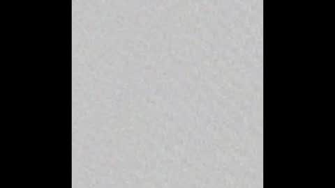 SOPHIE - FOXX online show from December 2024 01:51:01 AM