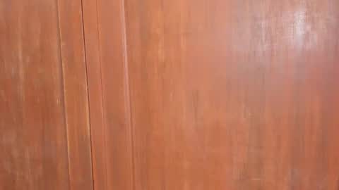 Shopiia88 online show from February 2026 12:01:02 PM