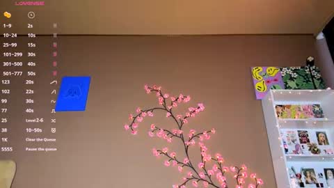 Sora online show from July 2026 09:51:02 AM