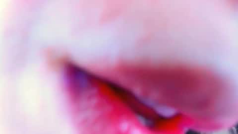 soulharmoonyy online show from March 2026 03:45:02 AM