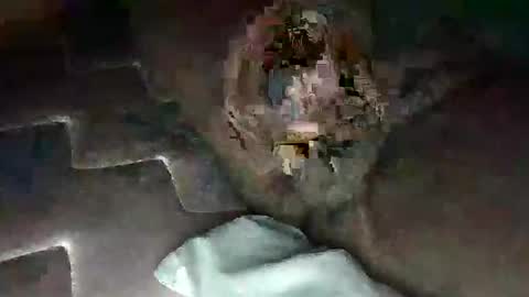 source1012 online show from January 2025 05:31:01 AM