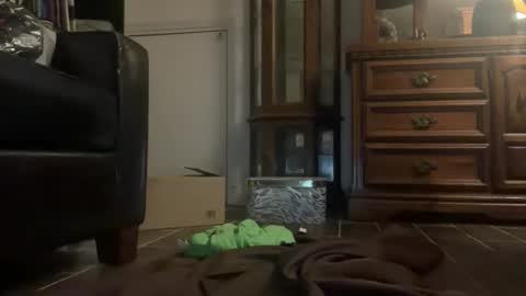 Southernblueyes online show from April 2026 08:13:02 PM