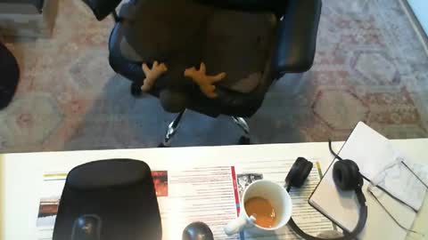 SOUTHERNBONES online show from September 2025 03:06:01 PM