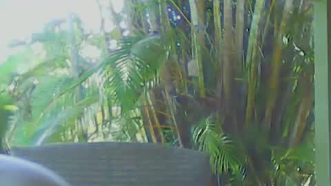 soveryhandsome online show from April 2026 06:40:01 AM