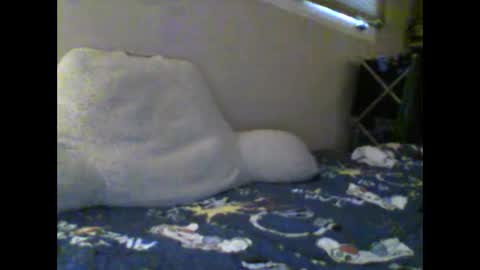 sox1957 online show from January 2026 07:59:02 PM