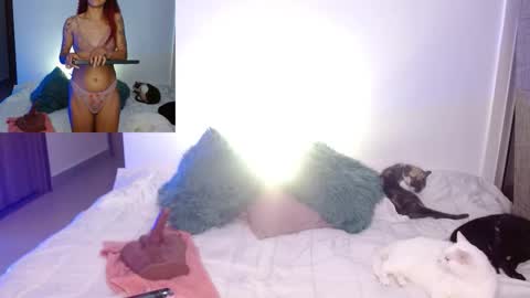      online show from February 2026 11:46:01 PM