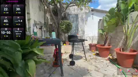 Snapshot of spanish_gym chatting on May 2026 10:56:02 AM spanish gym online show from May 2026 10:56:02 AM