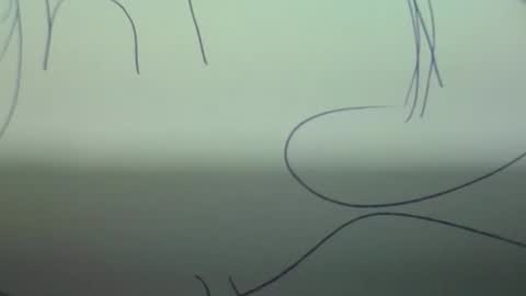 Scottietee online show from March 2026 05:08:02 AM