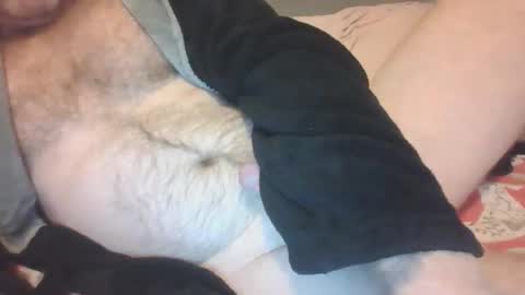 species online show from October 2025 08:04:01 AM