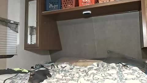 speedo_tx online show from March 2026 10:23:01 AM