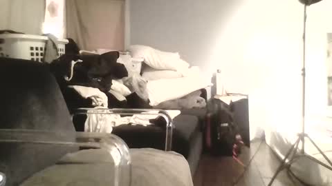 Snapshot of speedsoldier chatting on October 2025 05:35:01 PM speedsoldier online show from October 2025 05:35:01 PM