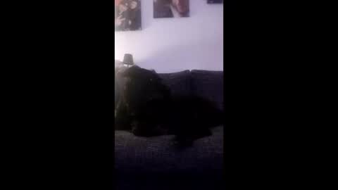 Snapshot of spermaking854897 chatting on March 2026 04:07:02 AM spermaking854897 online show from March 2026 04:07:02 AM